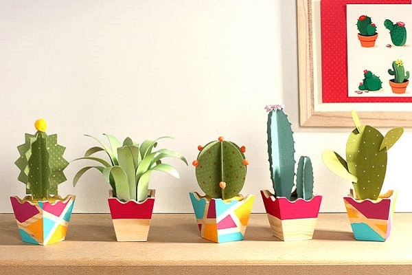 Cactus en papier
