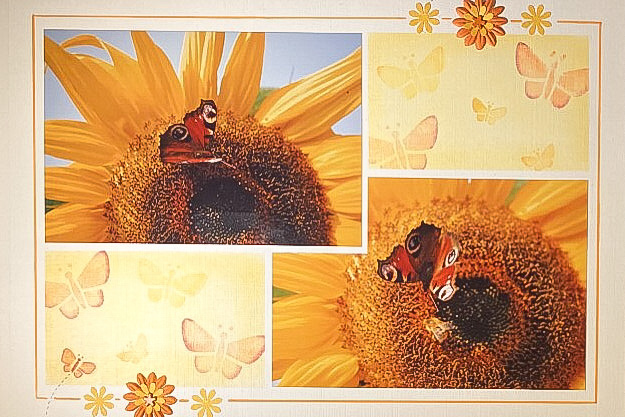 Page de scrap tournesols