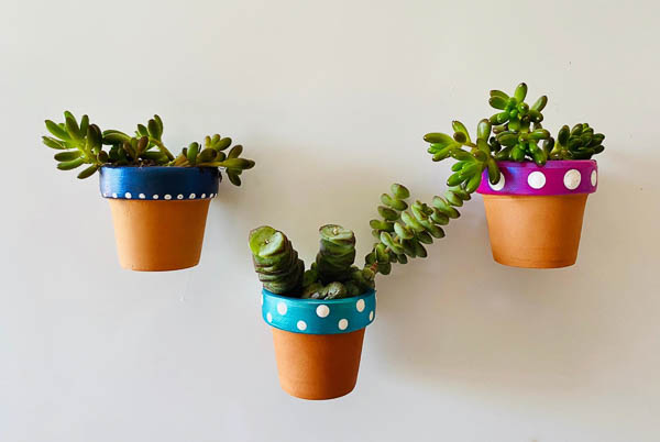 Petits pots de succulentes aimantés