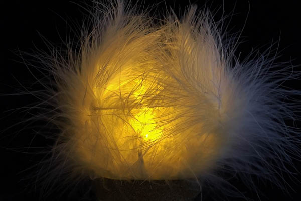 Photophore plumes